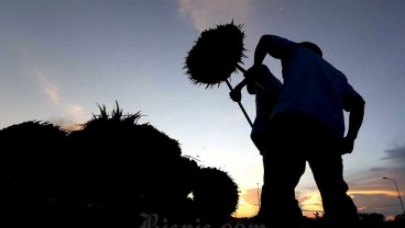 Pakar Asuransi Beri Masukan Terkait Rencana Pemutihan Utang Nelayan dan Petani