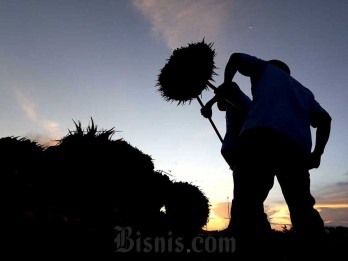 Pakar Asuransi Beri Masukan Terkait Rencana Pemutihan Utang Nelayan dan Petani