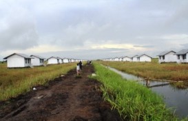 Kubu Raya Siapkan Lahan 600 Hektare untuk Transmigran