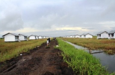 Kubu Raya Siapkan Lahan 600 Hektare untuk Transmigran