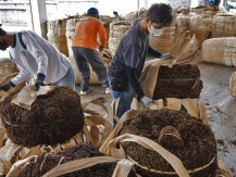 Rapor Merah Gudang Garam GGRM & Ambisi Bangun Bandara Hingga Tol