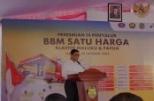 Ladang Tebu untuk Bioetanol di Merauke Ditarget Produksi Mulai 2027