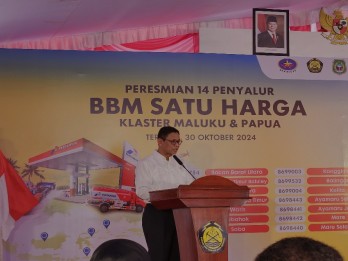 Ladang Tebu untuk Bioetanol di Merauke Ditarget Produksi Mulai 2027