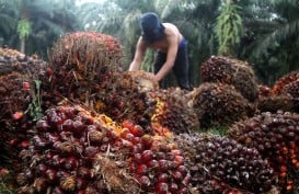 Kans Emiten Perkebunan Sawit Astra Agro (AALI) kala Profitabilitas Terjaga