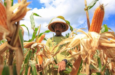 Menkop Budi Dukung Pemutihan Utang 6 Juta Petani dan Nelayan, Ini Alasannya