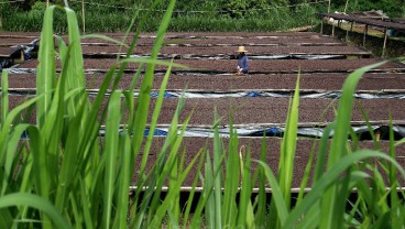 5 Manfaat Berkebun Bagi Kesehatan Mental