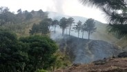 Kebakaran Hutan di Gunung Agung Menghanguskan Kawasan 75 Hektare