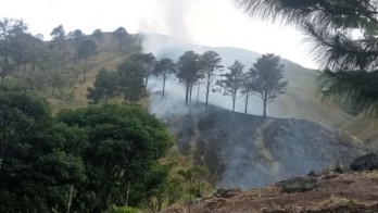 Kebakaran Hutan di Gunung Agung Menghanguskan Kawasan 75 Hektare