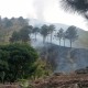 Kebakaran Hutan di Gunung Agung Menghanguskan Kawasan 75 Hektare