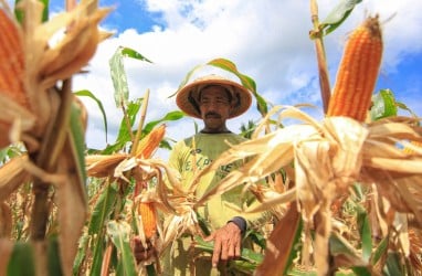 Inflasi Jatim pada Oktober 1,15%, Lebih Tinggi dari Nasional