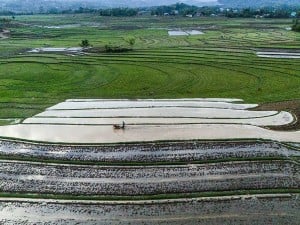 BPS Mencatat Nilai Tukar Petani Provinsi Sulawesi Selatan Pada Oktober Meningkat 0,27%