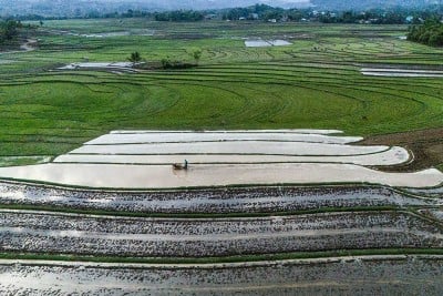 BPS Mencatat Nilai Tukar Petani Provinsi Sulawesi Selatan Pada Oktober Meningkat 0,27%