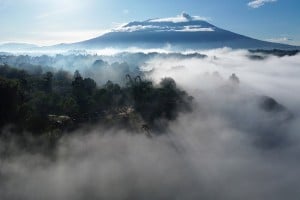 Pengembangan Objek wisata Tabiang Barasok Bukittinggi