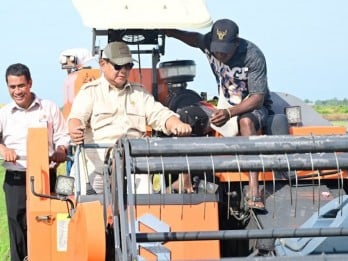 Foto Prabowo Naik Traktor Sambil Cek Tanam-Panen Padi di Merauke