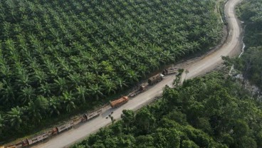 Emiten CPO Grup Sinarmas (SMAR) Raup Laba Rp1,03 Triliun, Melesat Hampir Dua Kali Lipat