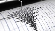 Gempa Bermagnitudo 4,4 yang Guncang Gunungkidul Terasa hingga Pacitan