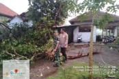 Angin Puting Beliung Rusak 24 Rumah di Trenggalek