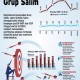 EMITEN GRUP SALIM    : Kinerja Subur INDF & ICBP
