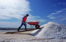 Garam Produksi Petani Madura Banyak yang Belum Terserap