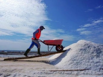 Garam Produksi Petani Madura Banyak yang Belum Terserap