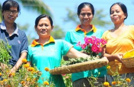 Meramu Kearifan Bali di Setiap Tegukan Made Tea