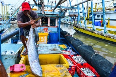 KKP Kembangkan Lima Kebijakan Ekonomi Biru