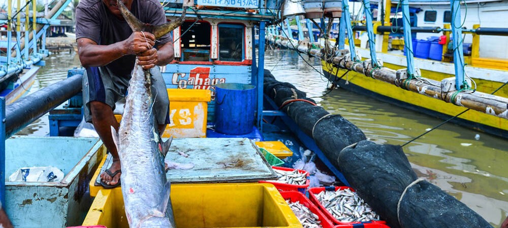 KKP Kembangkan Lima Kebijakan Ekonomi Biru