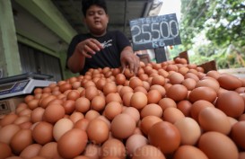 Harga Pangan Hari Ini 7 November: Beras Naik, Daging Ayam Turun