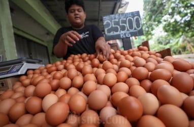 Harga Pangan Hari Ini 7 November: Beras Naik, Daging Ayam Turun