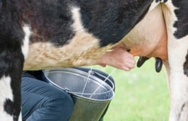 Anak Kegemukan Tetap Perlu Minum Susu, Jangan Salah Persepsi