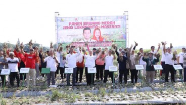 Pemkot Semarang Kembangkan Bawang Merah Lokananta dan Maserati