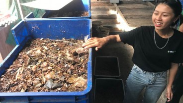 Ni Nyoman Rida Bimastini Pendiri Magi Farm, Mengurai Masalah Besar di Bali Mengandalkan Organisme Kecil