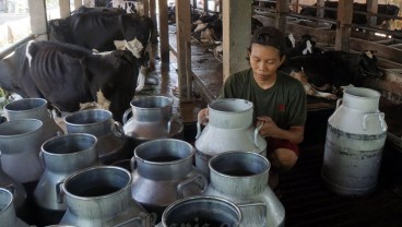 Impor Susu Satu Dekade Terakhir, Seperti Apa Trennya?