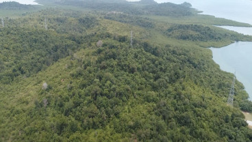 Progres KEK Tanjung Sauh di Batam, IUKI untuk Kawasan Industri Sudah Terbit