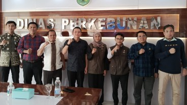 Menengok Realisasi Peremajaan Sawit di Musi Banyuasin