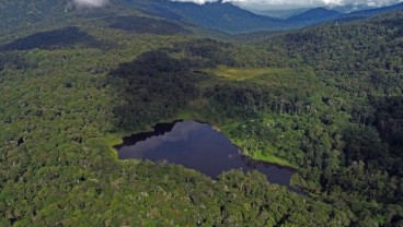 COP29: Hashim Sebut Prabowo Setujui Reboisasi 12,7 Juta Hektare Hutan RI
