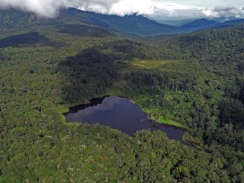 COP29: Hashim Sebut Prabowo Setujui Reboisasi 12,7 Juta Hektare Hutan RI