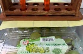 Anggur Shine Muscat di Balikpapan Dinyatakan Aman untuk Konsumsi