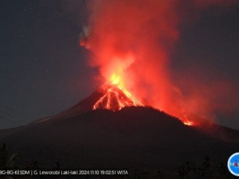 Mencari Jalan Pulang Saat Erupsi Lewotobi