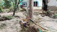 Banjir Bandang Melanda Sijunjung, Pemprov Sumbar Salurkan Bantuan Beras 2.830 Kg