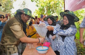 Pemberdayaan UMKM Perempuan di Purwokerto Lewat Budi Daya Lebah Klanceng