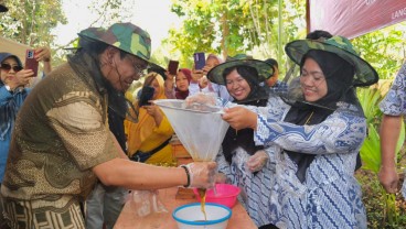 Pemberdayaan UMKM Perempuan di Purwokerto Lewat Budi Daya Lebah Klanceng