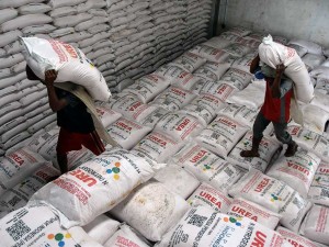 Pemerintah Menyederhanakan Alur Distribusi Pupuk Subsidi Bagi Petani