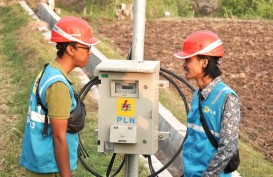 Elektrifikasi Agrikultur PLN Menjaga Denyut Bisnis Petani