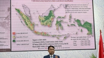 Harga Karbon Rendah, Indonesia Siapkan Sistem Geospasial Kredibel