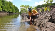 Pemkab Sarmi Dapat Dana Bagi Hasil Reboisasi