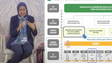 COP29: RI Bakal Rilis Coral Bond Pembiayaan Ekonomi Biru Maret 2025