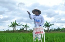 Regulasi Pupuk Subsidi Mau Dirombak, Zulhas: Petani Tak Perlu Repot Lagi