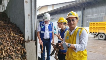 Harga Karet Naik, Petani Diminta Jaga Kualitas