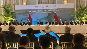 Hashim hingga Bos Lippo Kawal Prabowo Bertemu Pengusaha Brasil Jelang KTT G20